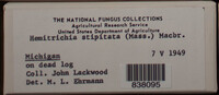 Image Associated With the Occurence